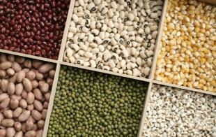 鄭州干果及農(nóng)副產(chǎn)品批發(fā)市場(chǎng)指南——世界工廠(chǎng)網(wǎng)助您精準(zhǔn)對(duì)接